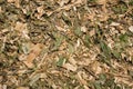 Mulch Royalty Free Stock Photo
