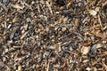 Mulch Background