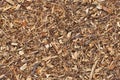 Mulch bark seamless texture Royalty Free Stock Photo