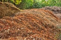 Mulch in garden Royalty Free Stock Photo