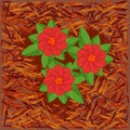 Red mulch and flowers. Bright mulch for flower beds using natural pine bark. Royalty Free Stock Photo