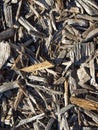 Mulched ground Royalty Free Stock Photo