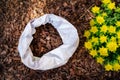 mulching flower bed with tree bark mulch Royalty Free Stock Photo