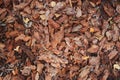 Mulching garden beds with pine bark pieces