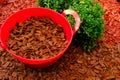 Mulching soil cover.Decorative chips garden.Red chips for mulching in red silicone bucket in a garden near a boxwood Royalty Free Stock Photo