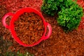 Mulching soil cover made of natural materials. chips for the garden.Red chips for mulching near a boxwood bush. Mulching Royalty Free Stock Photo