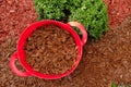 Mulching soil cover made of natural materials.Decorative chips garden.Red chips for mulching in red silicone bucket in a Royalty Free Stock Photo