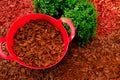 Mulching soil cover made of natural materials.Decorative chips garden.Red chips for mulching in red silicone bucket in a Royalty Free Stock Photo