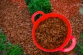 Mulching soil.Decorative chips for the garden.Red chips for mulching in red silicone bucket in a garden near a boxwood Royalty Free Stock Photo