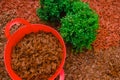 Mulching soil.Decorative chips for the garden.Red chips for mulching in red silicone bucket in a garden near a boxwood Royalty Free Stock Photo