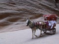 A mule cart drives two tourists through the siq, the narrow canyon that leads to Petra, Jordan Royalty Free Stock Photo