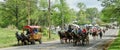 Mule Day Parade Participants, Columbia, TN