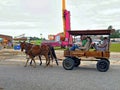 mule driven cart Royalty Free Stock Photo