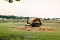 A mule and horse share bailed hay in a pasture. 2