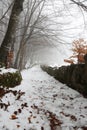 Ancient mule track with ice trail in the middle of the cold snow