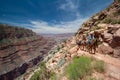 Mule train ascending South Kaibab Trail in Grand Canyon. Royalty Free Stock Photo