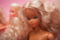 Barbie Dolls on pink background