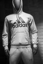 Grey sweatsuit. by Adidas on mannequin in fashion store showroom Royalty Free Stock Photo