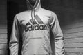 Grey sweatsuit. by Adidas on mannequin in fashion store showroom Royalty Free Stock Photo