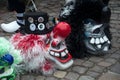 Closeup of traditional carnival masks posing on the floor before the carnival