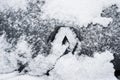 Renault logo on front car covered by the snow, Renault is the famous french brand of cars Royalty Free Stock Photo