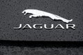 Closeup of rain drops on jaguar logo on black car parked in the street Royalty Free Stock Photo