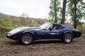 profile view of blue chevrolet corvette 1974 parked in the street