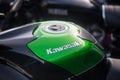 Closeup of Kawasaki logo on green tank of motorbike parked in the street