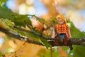 Playmobil figurine sitting on automnal tree in outdoor