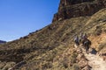 Mules on Grand Canyon Trail