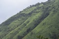 Mullayanagiri hill Royalty Free Stock Photo