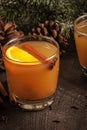 Mulled Wassail Cider with cinnamon sticks close up shot Royalty Free Stock Photo