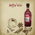 Mulled wine ingredients sketch vector illustration on old paper background. Cinnamon stick, clove, apple with mint