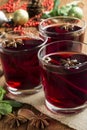 Mulled wine in a glass with cinnamon and dittany