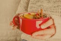 Mulled wine hot drink with citrus and spices Royalty Free Stock Photo