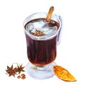 Mulled wine with IllicÃÂ­um vÃÂ©rum, Cinnamomum zeylanicum, and dry slices of orange, watercolor