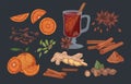 Mulled wine and spices hand drawn vector illustrations set. Flavoring seeds and herbs realistic color isolated cliparts