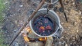 Mulled wine in a tourist pot over hot camp fire. Mulled wine by the fire. Mulled wine cooked on fire outdoors. Picnic Royalty Free Stock Photo