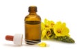 Mullein flowers with essence bottle Royalty Free Stock Photo