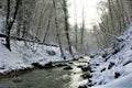 Mullerthal, Luxembourg - January 2024 - A small river in the forest under snow Royalty Free Stock Photo