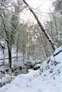 Mullerthal, Luxembourg - January 2024, winter - A small river in the forest under snow Royalty Free Stock Photo