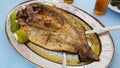 Mullet - open roasted fish lemon dish Royalty Free Stock Photo