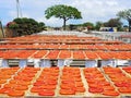 Dried mullet roe