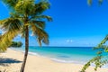 Mullins Beach - tropical beach on the Caribbean island of Barbados. It is a paradise destination with a white sand beach and