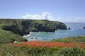 Mullion cove