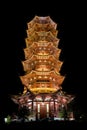 Mulong Lake Pagoda, Guilin, China Royalty Free Stock Photo