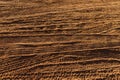 Mult layers of tire tracks print on dirty red soil in morning sunlight. Wheel marks of cars and trucks on countryside route,