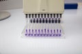 Multi channel pipette loading biological samples in microplate for test in the laboratory / Multichannel pipette load samples in Royalty Free Stock Photo