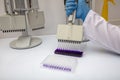 Multi channel pipette loading biological samples in microplate for test in the laboratory / Multichannel pipette load samples in Royalty Free Stock Photo