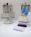 Multi channel pipette loading biological samples in microplate for test in the laboratory / Multichannel pipette load samples in Royalty Free Stock Photo